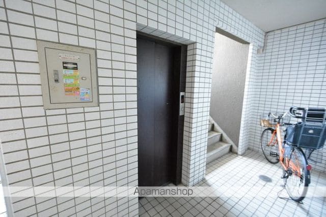 ドルフヒシダのその他写真