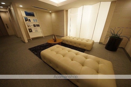 フレンシア外苑西　Ⅰ[1R/34.43m2]の共用部11