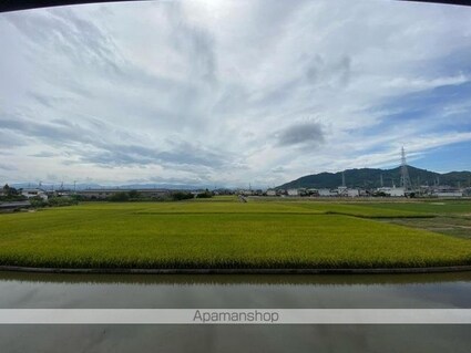 Ｇｒｅｅｎ　Ｈｏｕｓｅ　檀紙[2LDK/58.6m2]の内装4