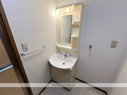 グレイオーク[2DK/48m2]の洗面所