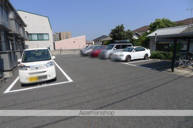アガパンサスのその他写真