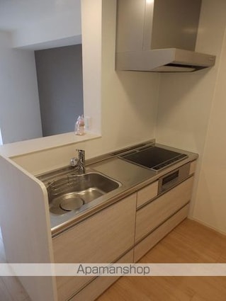 Ｄーｒｏｏｍトラベシア[1R/32.55m2]のキッチン