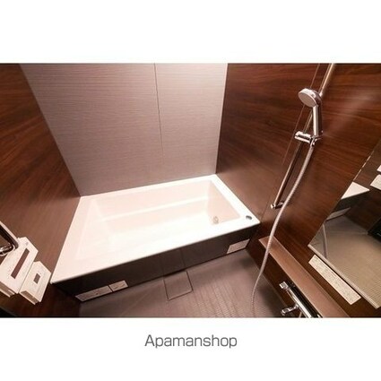 コンフォリア新宿イーストサイドタワー[1R/44.8m2]のバス