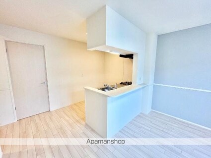 ドエル・アイリス[1LDK/42.74m2]のキッチン2