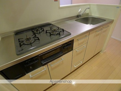 パティオ高井戸Ｂ[1SLDK/44.42m2]のキッチン