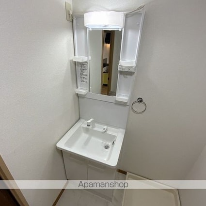 ＰＡＬＡＣＥ　ＢＬＵＥ　ＳＫＹ　Ａ[2DK/45.5m2]の洗面所