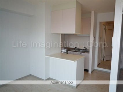 ボア・ソルテ壱番館[1LDK/43m2]のキッチン