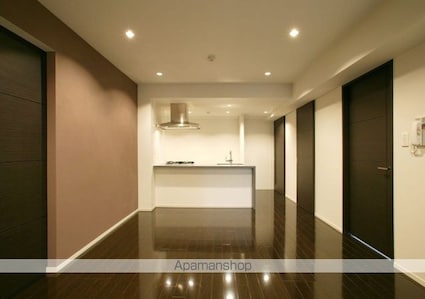 カスタリア麻布十番[1LDK/42.84m2]のその他内装3