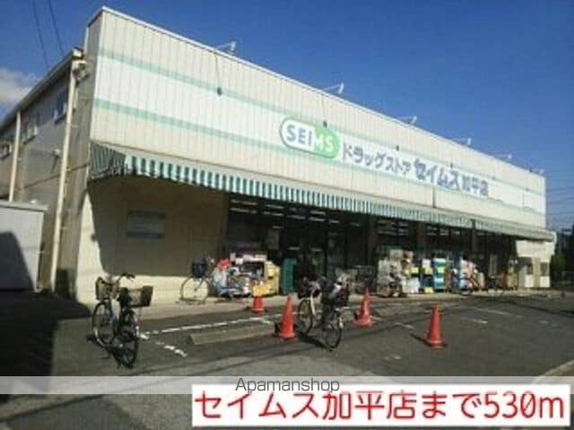 プラシードの周辺写真