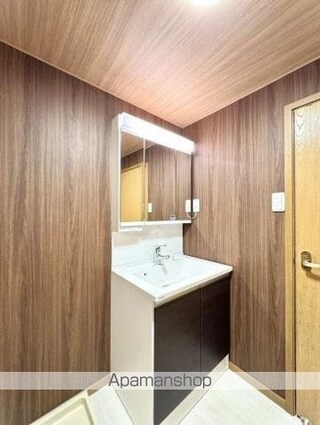 ラッフルズ　ティファニー[2DK/48.28m2]の洗面所