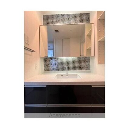 Ｔｈｅ　Ｋｉｔａｈａｍａ　２９０４号室[1LDK/55.35m2]の洗面所