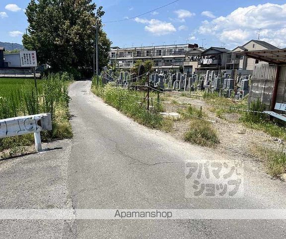 サンフラワーの周辺写真