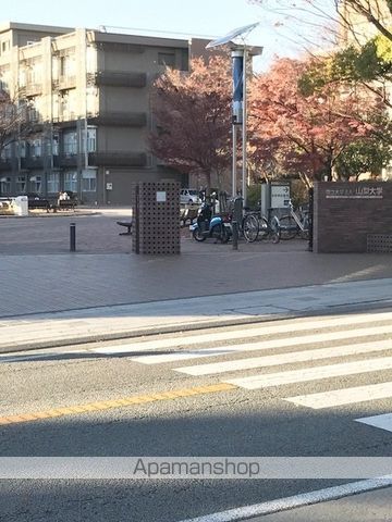 ミランダシュエットの周辺写真