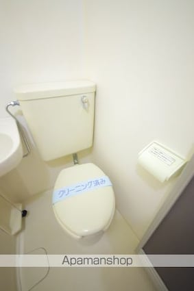 グリーンシャトル堀口[1R/17.41m2]のトイレ