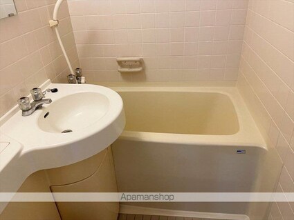 インペリアル南麻布サテライト[1R/20.76m2]の洗面所