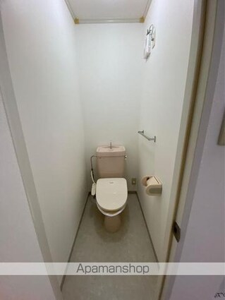 チェリータウン川東Ａ・Ｂ棟[2DK/45.34m2]のトイレ