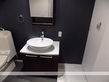 ラフェリオ[1R/22.34m2]の洗面所