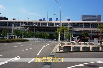 メゾンさくら[1LDK/33.48m2]の周辺1