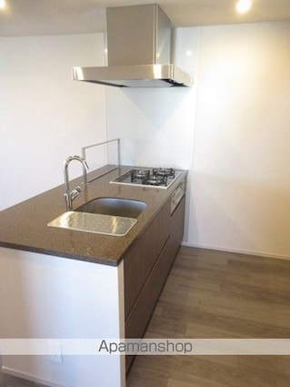 ザ・パークハビオ高円寺レジデンス[1LDK/41.5m2]のキッチン