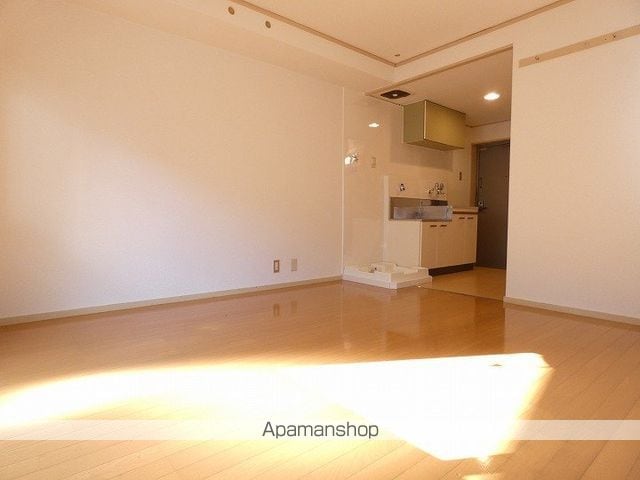 シャトレー鴨池の内装写真