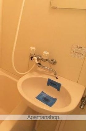 メゾンイトセⅡ[1R/20.25m2]の洗面所