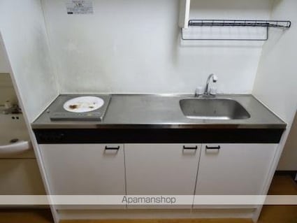 ピンクパンサー[1K/27.8m2]のキッチン