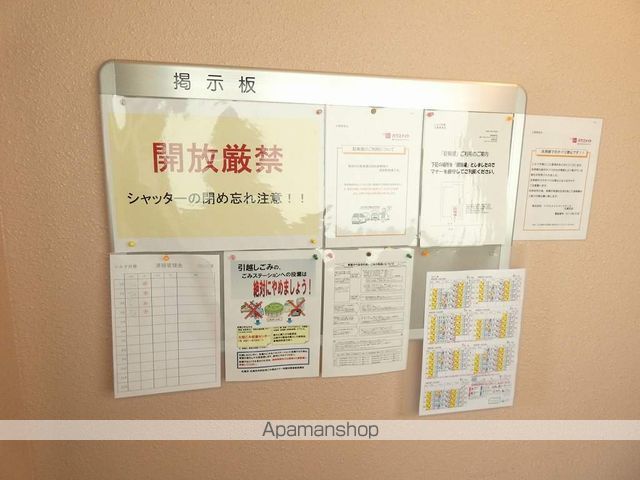 シルフ月寒のその他写真