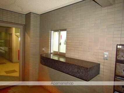 ジョイフル柏[1K/16.56m2]の共用部2