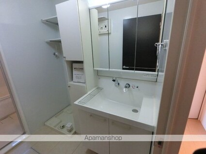 レジーア[3LDK/72.11m2]の洗面所