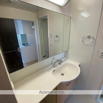 ハイドンホーフ[1LDK/42.55m2]の洗面所