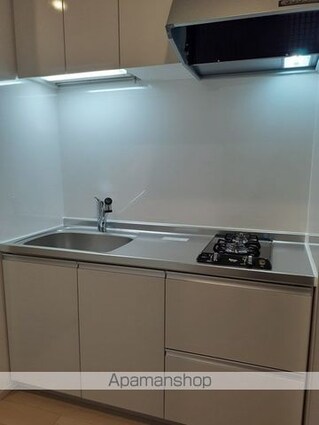 プラシード　カメリア[1K/25.84m2]のキッチン