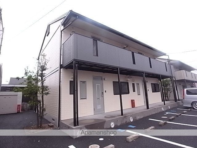 トレイシュアルボレー