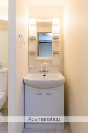 ハヴィータ２１[2K/29.34m2]の洗面所