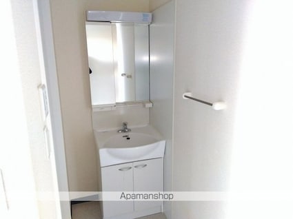 レオネクストシャムロック[1LDK/46.94m2]の洗面所