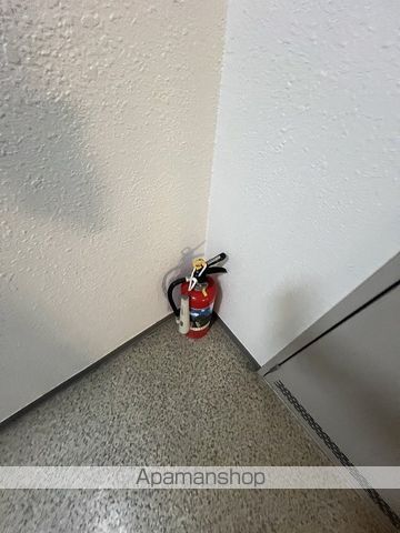 ペールウィのその他写真