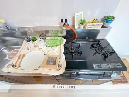 チェリータウン川東Ａ・Ｂ棟[2DK/45.34m2]の内装3