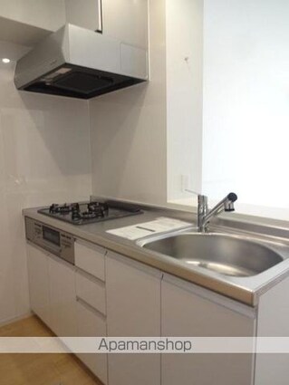 ヴィオラ　広丘Ⅱ[1LDK/50.49m2]のキッチン