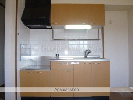 ドムス　ホーラ[2DK/45.5m2]のキッチン