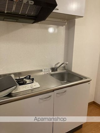 ラフィネ・コート[1K/20.7m2]のキッチン