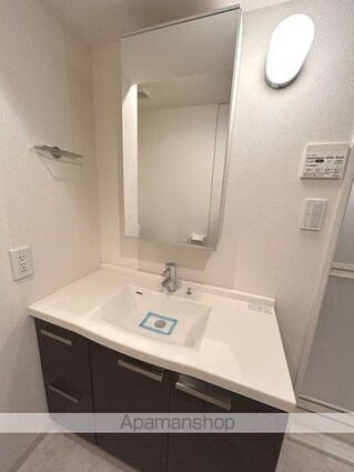 ＳＩＤＥ　Ｏｎｅ[1R/40.02m2]の洗面所