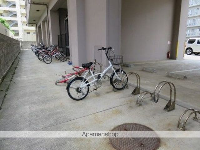アルビーナのその他写真