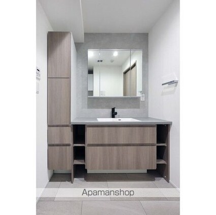 ＬａＳａｎｔｅ麹町[2SLDK/63.07m2]の洗面所