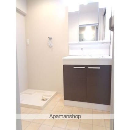 ハイムビーオール[3LDK/85.74m2]の洗面所