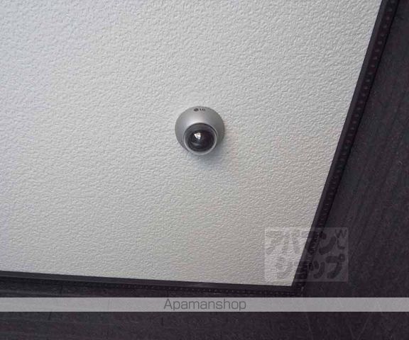グレイス・シェーネのその他写真