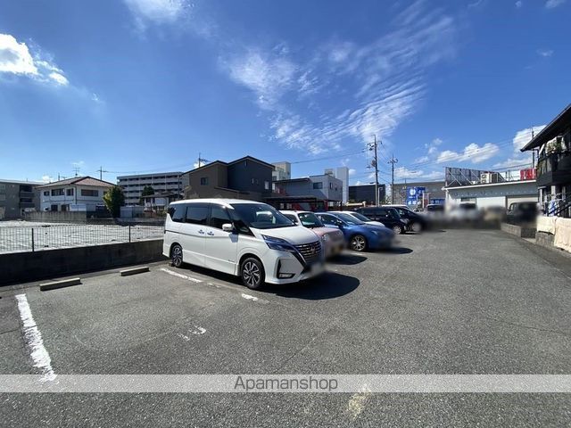 サンフラワーのその他写真