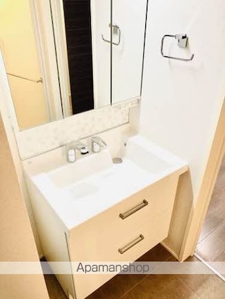 シャーメゾン・ドゥリシェス[1R/30.25m2]の洗面所