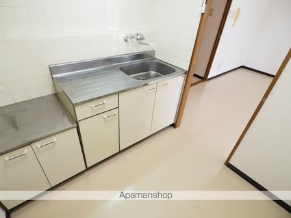 メゾンドアルファⅡ[3DK/60.63m2]のキッチン