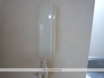 ヴェーネ・グラッツェ[1LDK/44.22m2]のセキュリティ