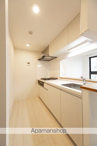 ＬＡＰｉＳ武蔵小山[2LDK/50.07m2]のキッチン