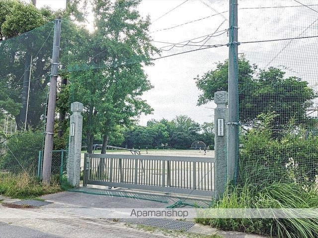 シンシアの周辺写真